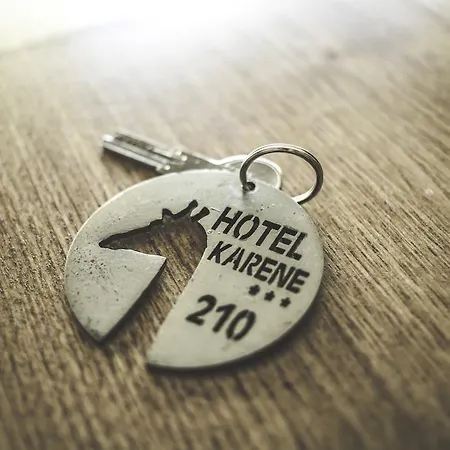 Hotell Karene 3*