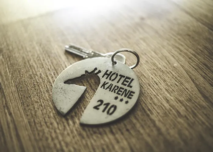 Hotel Karène 3*